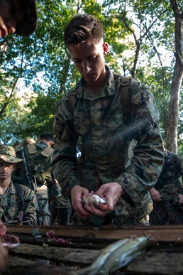 Survival techniques prepare Malaysian Army, US Marines for jungle operations