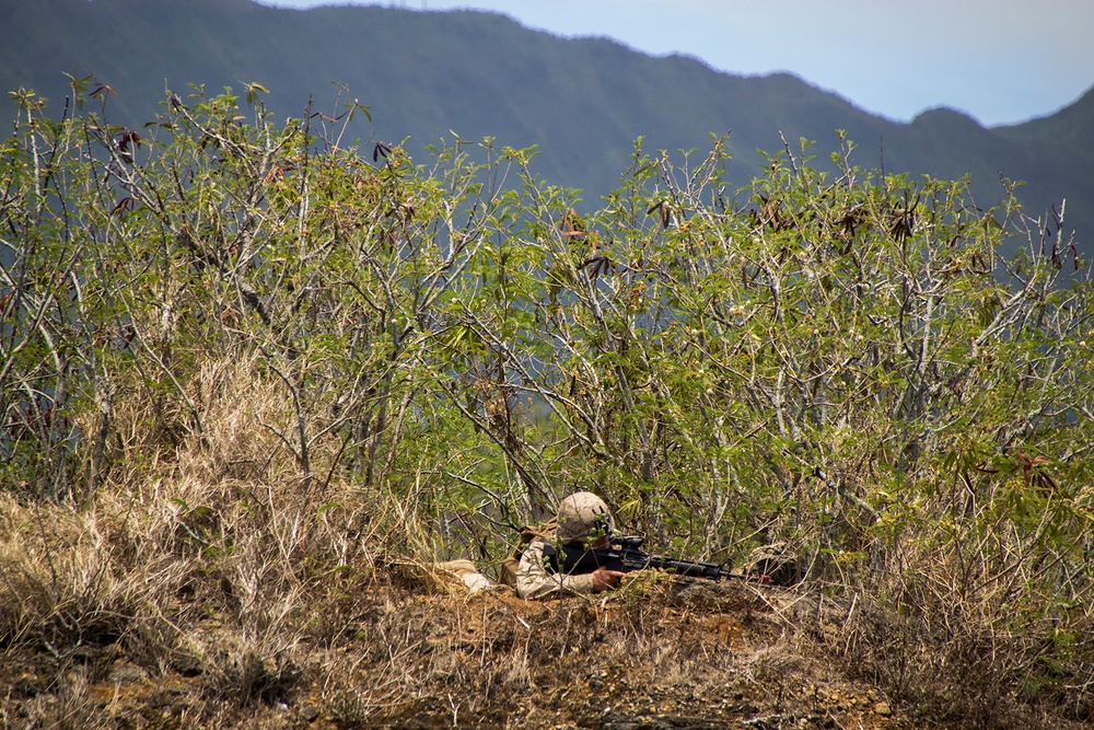 U.S. Marines, foreign nations patrol MCTAB during RIMPAC 2014