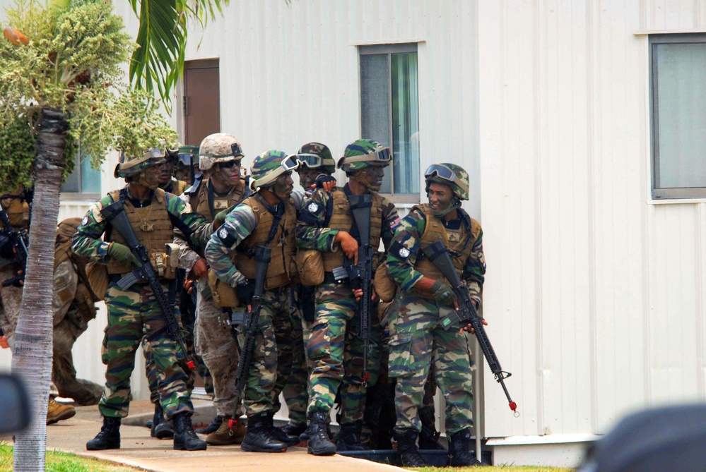 Air assault event, RIMPAC 2014
