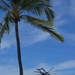 Air assault event, RIMPAC 2014