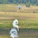 US Air Force F-16 Fighting Falcon aircraft from the 480th Fighter Squadron, Spangdahlem Air Base, Germany