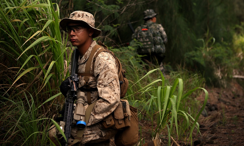 SIM ASSAULT: 3/3, ROK Marines Conduct Sea-Base Operation