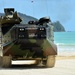 Amphibious assault vehicle beach landing