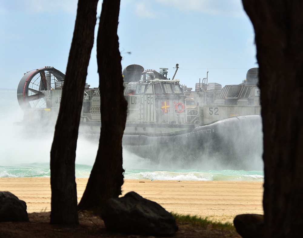 Amphibious assault vehicle beach landing