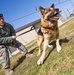 DLA Troop Support subsistence supply chain gains K-9 customers