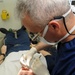 USS Nimitz sailor receives dental work