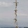 Lining up tall