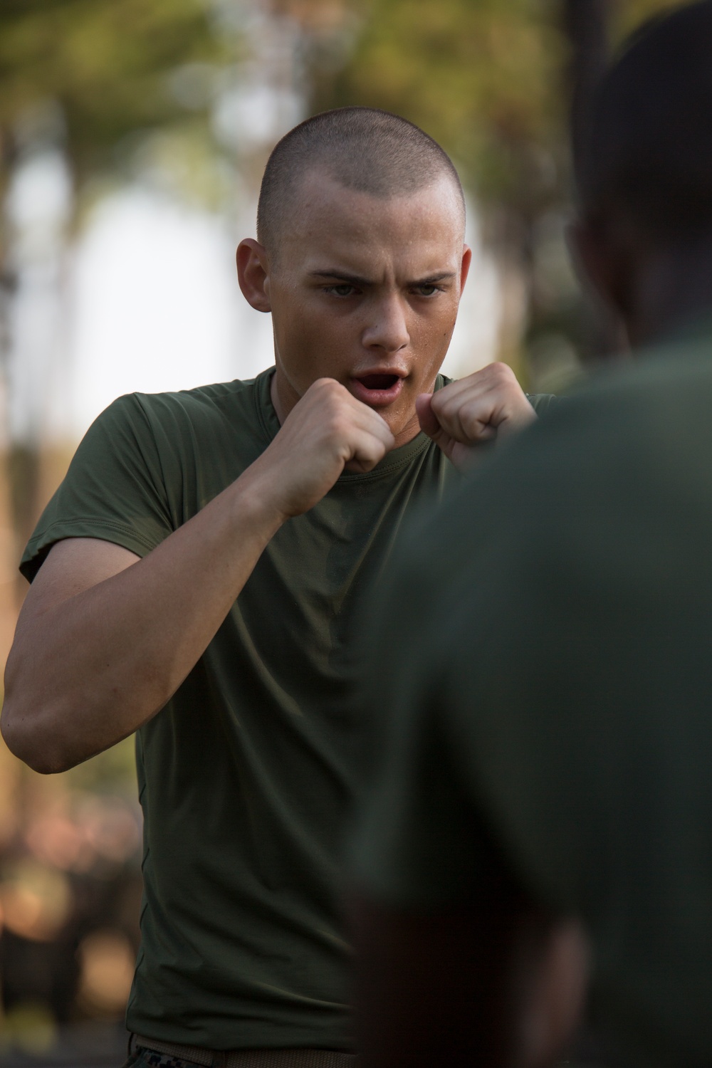 Photo Gallery: Marine recruits complete Confidence Course on Parris Island