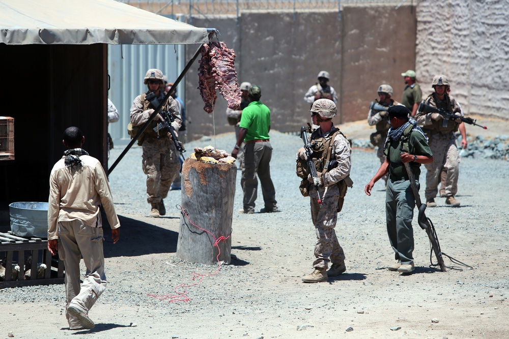 Marines Improve at IIT