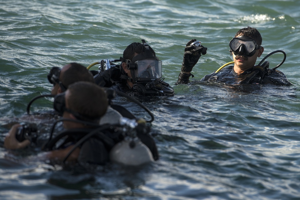 Coalition, joint diving team share experience at USS Arizona Memorial