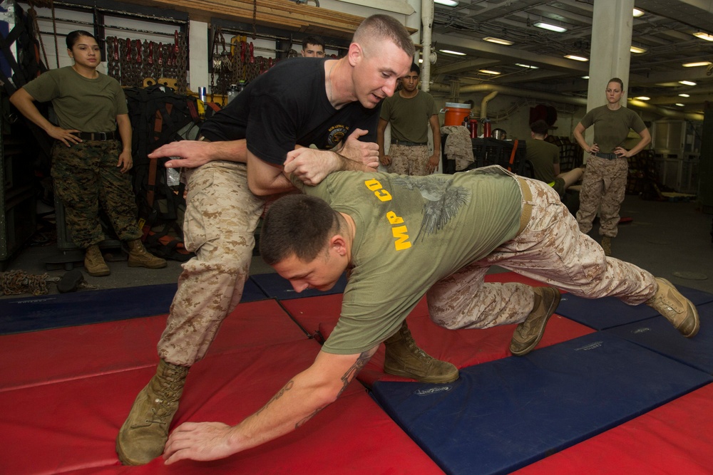 Mesa Verde Marines train for OC spray qualification