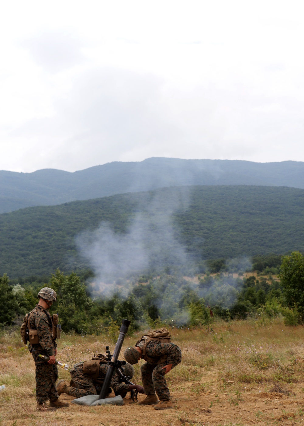 Marines and sailors participating in exercise Platinum Lion 14-1 conduct live-fire training