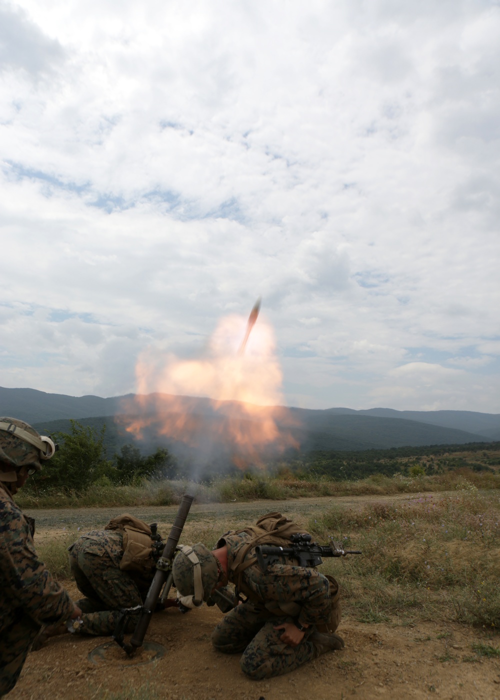 Marines and sailors participating in exercise Platinum Lion 14-1 conduct live-fire training
