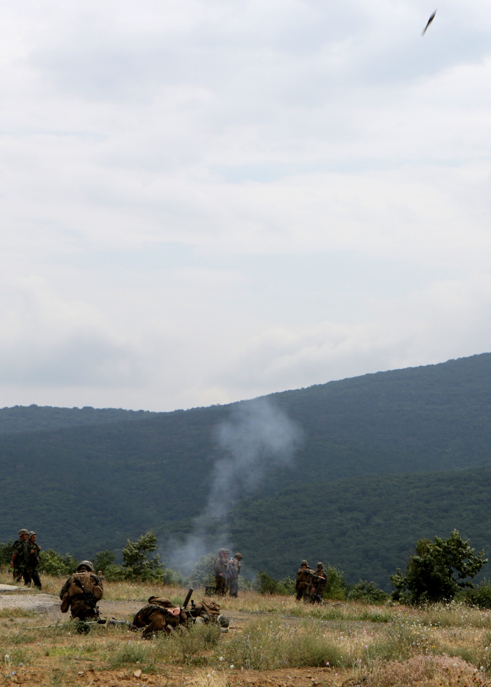 Marines and sailors participating in exercise Platinum Lion 14-1 conduct in live-fire training