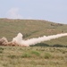 14th Marines and CLB-453 combine for FIREX