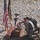Two U.S. Army soldiers in ACU (Army Combat Uniform) are kneeling before a battlefield memorial cross, also known as a 'battle cross' or 'fallen soldier display,' set up on a wooden platform in a rocky, arid environment. The memorial includes a rifle with helmet, combat boots, a framed photograph, and both a U.S. flag and what appears to be a unit guidon. The soldiers appear to be paying their respects in a solemn tribute ceremony.