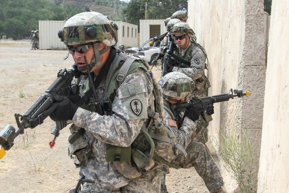 MPs train at Warrior Exercise 2014