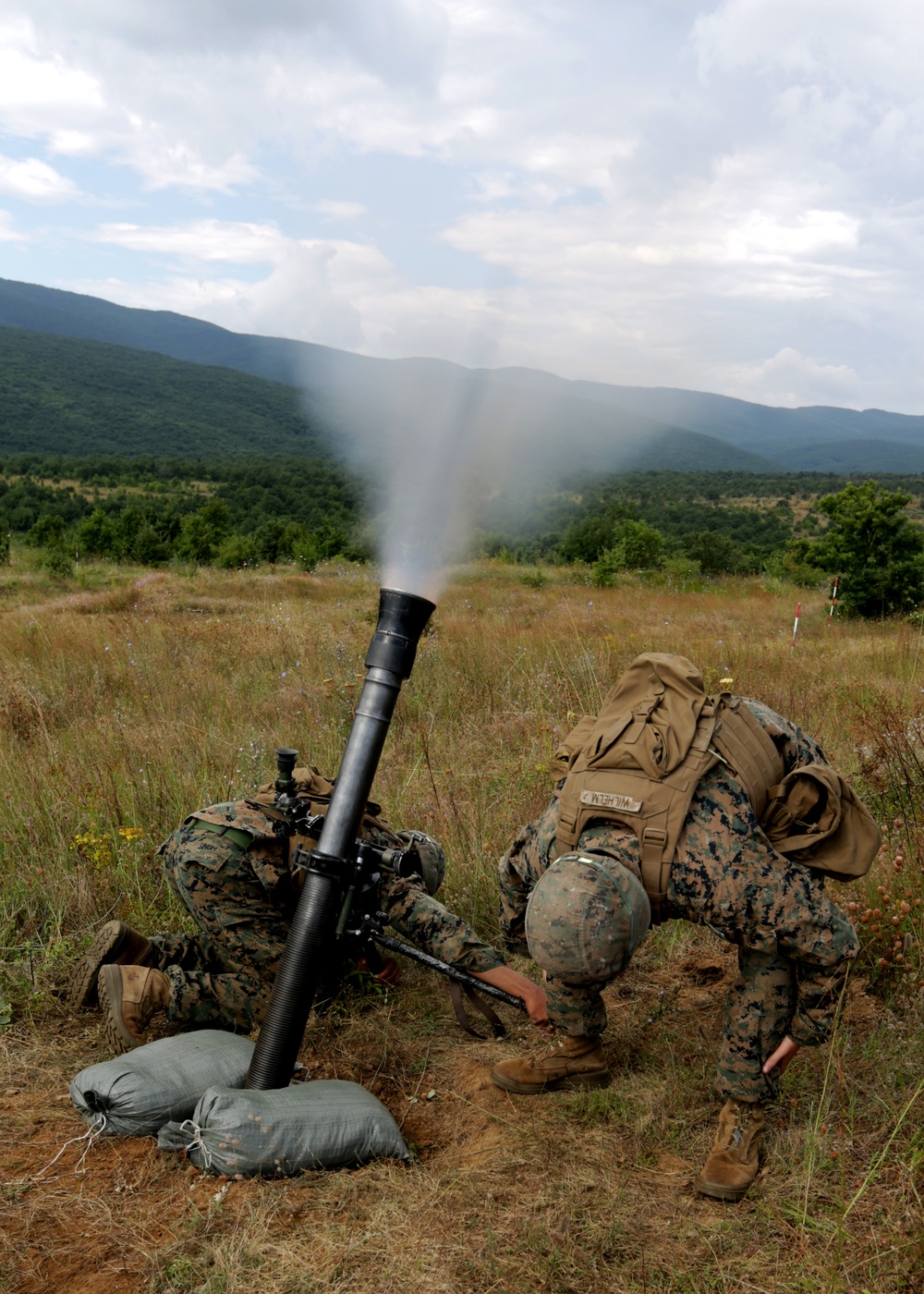 U.S. Marines and saliors of exercise Platinum Lion 14-1 conduct live-fire on July 20, 2014