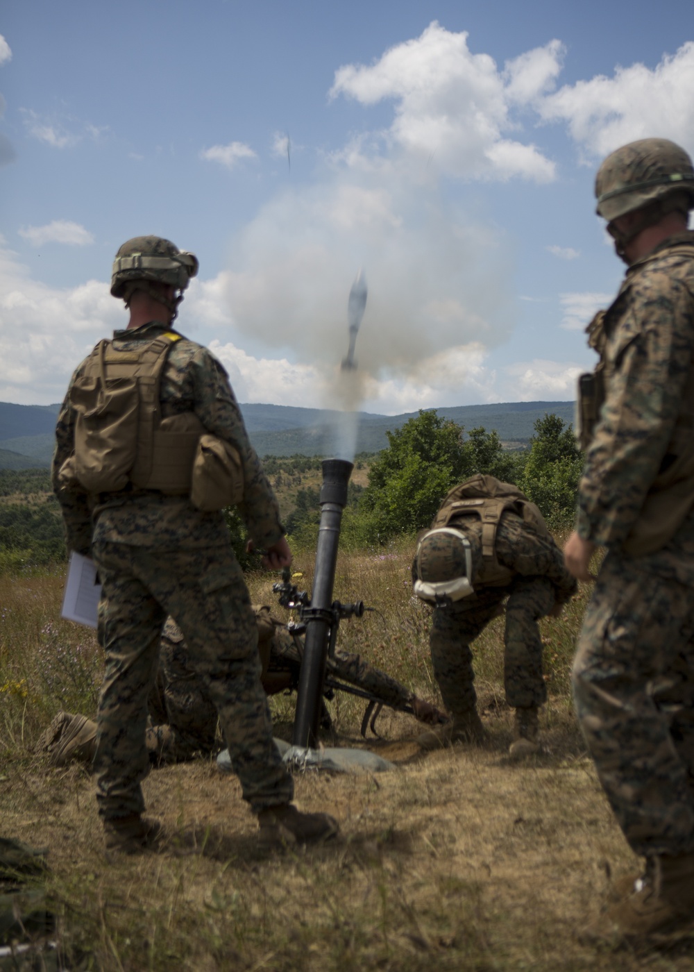 US Marines and sailors of exercise Platinum Lion 14-1 conduct live-fire on July 20, 2014