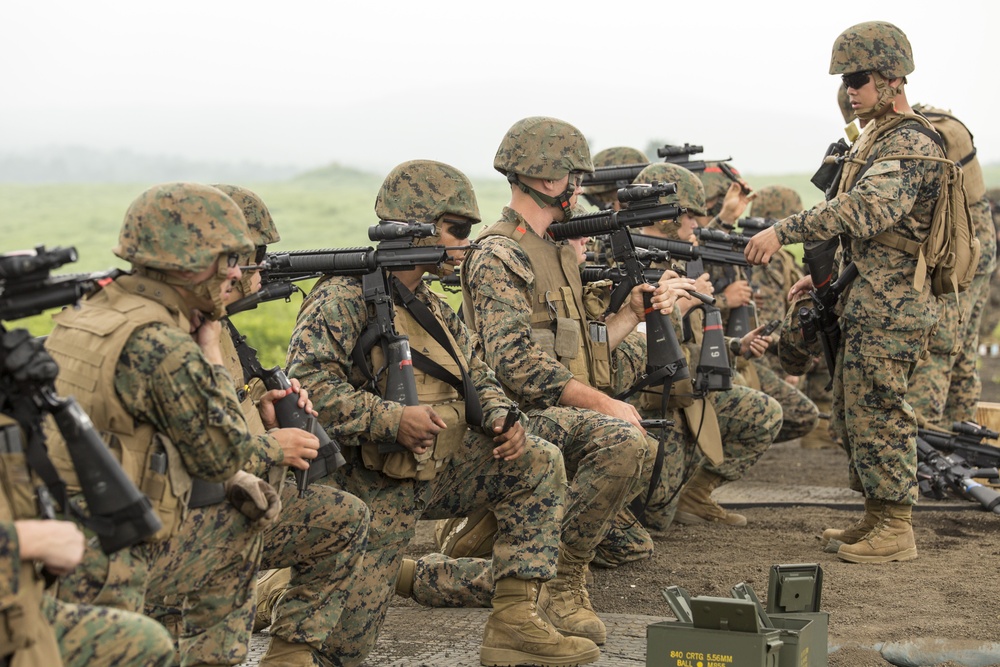 CLC-36 engages in squad movements, live fire training during Exercise Dragon Fire 2014