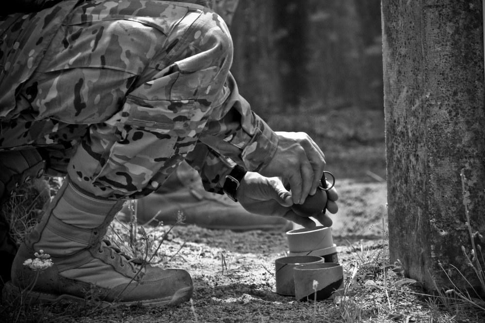 Grenade training