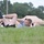89th Sustainment Brigade 2014 CPX-F physical training
