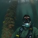 Maritime improvised explosive device (IED) familiarization dive, RIMPAC 2014