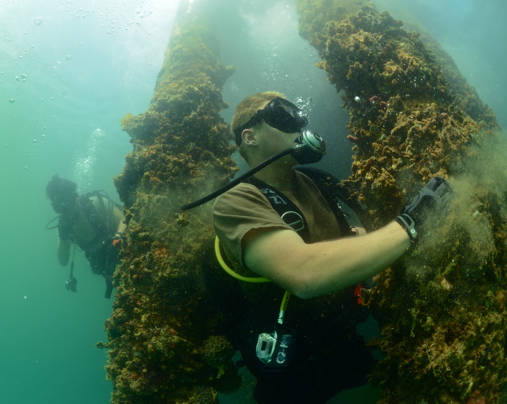 Maritime improvised explosive device (IED) familiarization dive, RIMPAC 2014