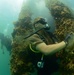 Maritime improvised explosive device (IED) familiarization dive, RIMPAC 2014