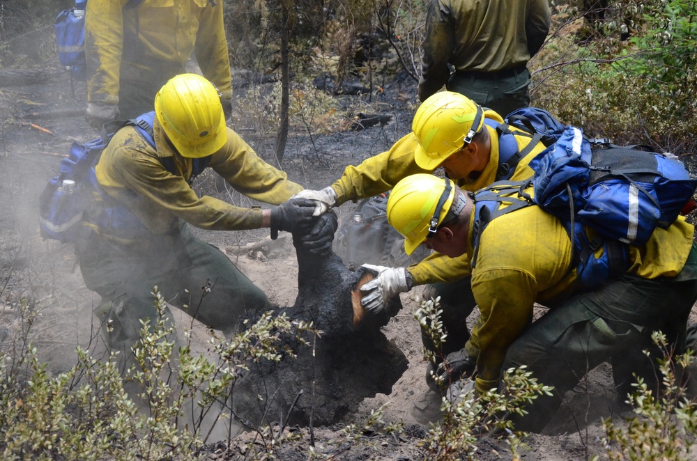 Guardsmen Assist During Wildfires