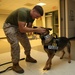 Combat Center K-9 Division conducts building search exercise