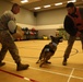 Combat Center K-9 Division conducts building search exercise