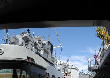 LSV-3 returns home
