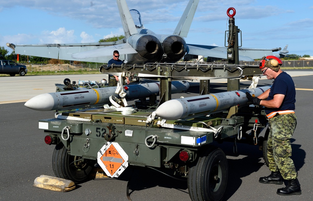 Royal Canadian Air Force, RIMPAC 2014