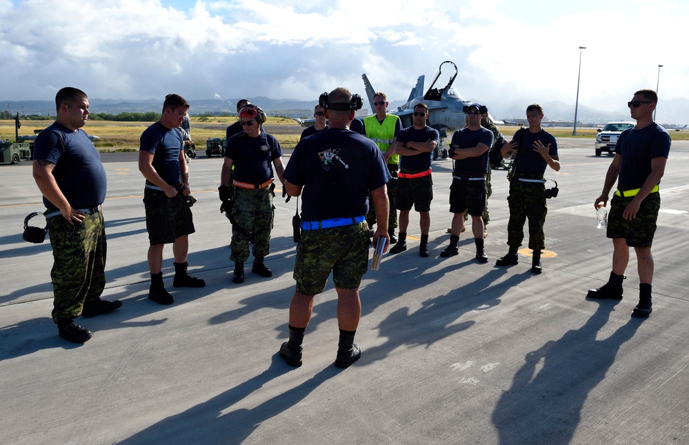 Royal Canadian Air Force, RIMPAC 2014