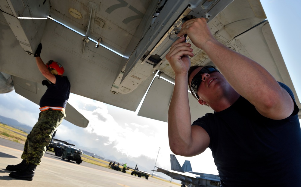 Royal Canadian Air Force, RIMPAC 2014