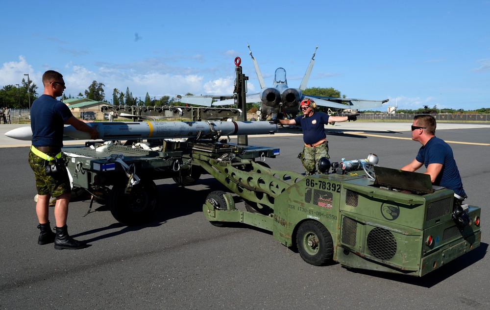 Royal Canadian Air Force, RIMPAC 2014