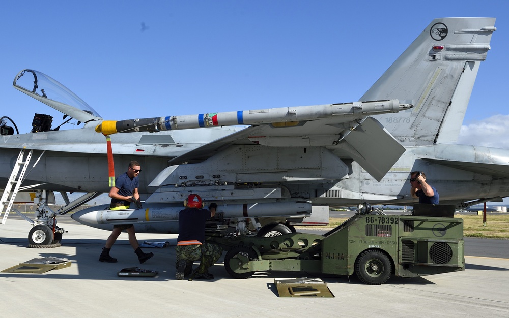 Royal Canadian Air Force, RIMPAC 2014