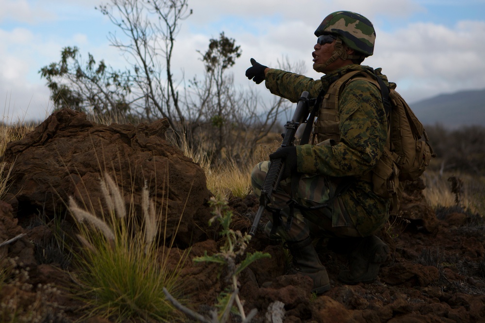U.S. Marines, international partners engage in trench warfare training