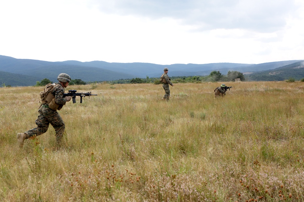 Marines of Platinum Lion 14-1 conduct a live-fire platoon attack