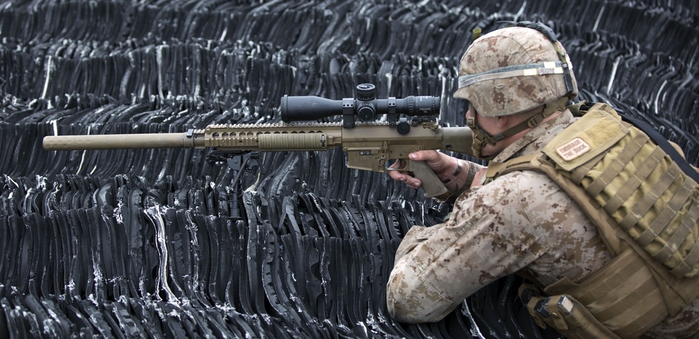 Long range takedown: 2/2 Scout Snipers challenged in scenario-based training