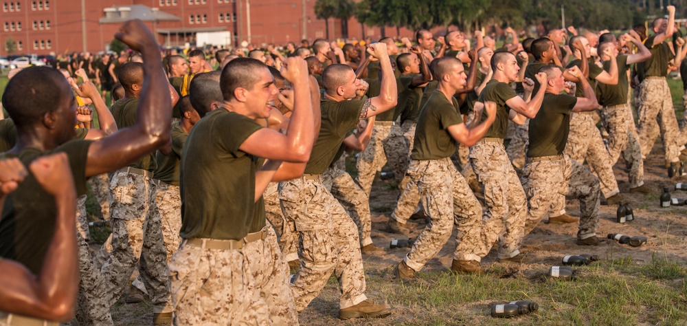 Photo Gallery: Parris Island recruits start first lessons in martial arts on Parris Island