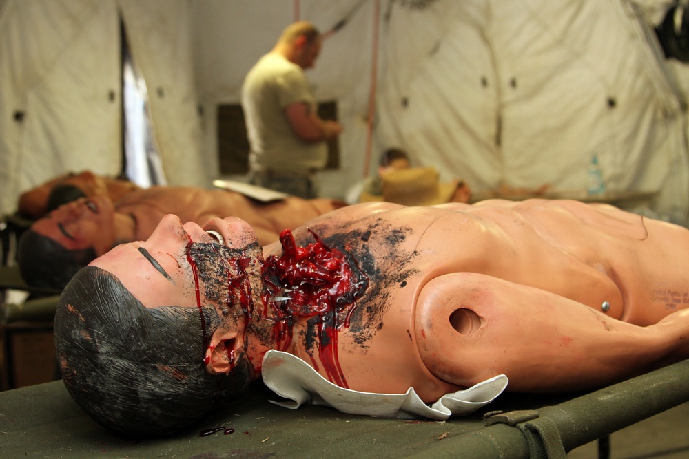 The art behind Army medical training