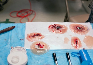 Blood, guts and gore galore: Moulage crew brings horror to life