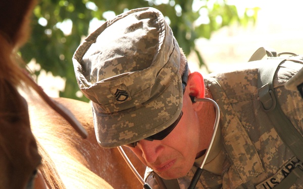 Checking Ginny's vitals