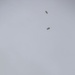 Air Delivery Marines conduct parachute training