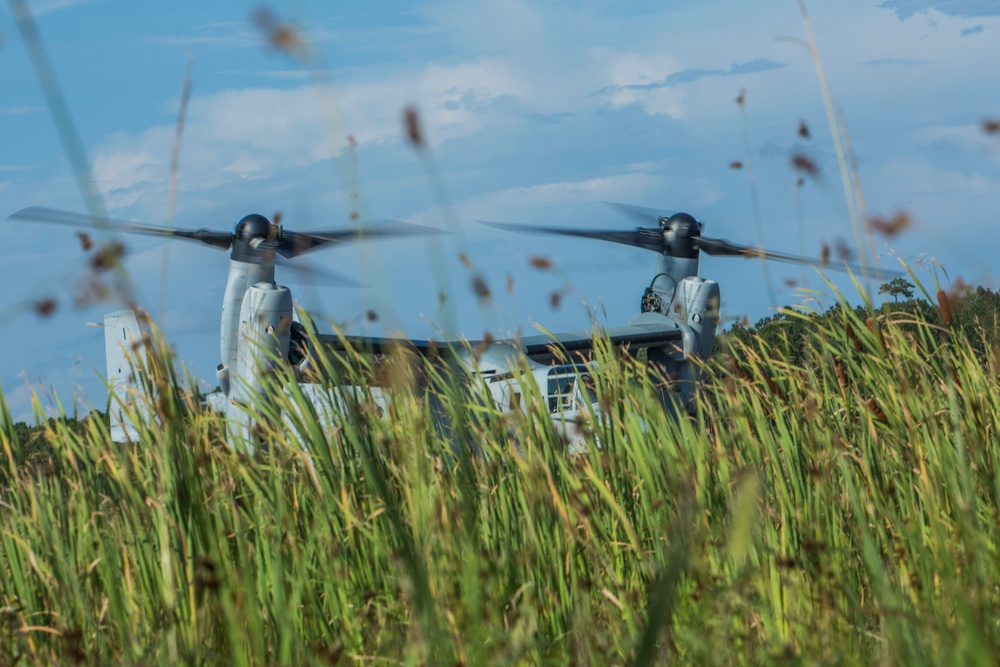 Air Delivery Marines conduct parachute training