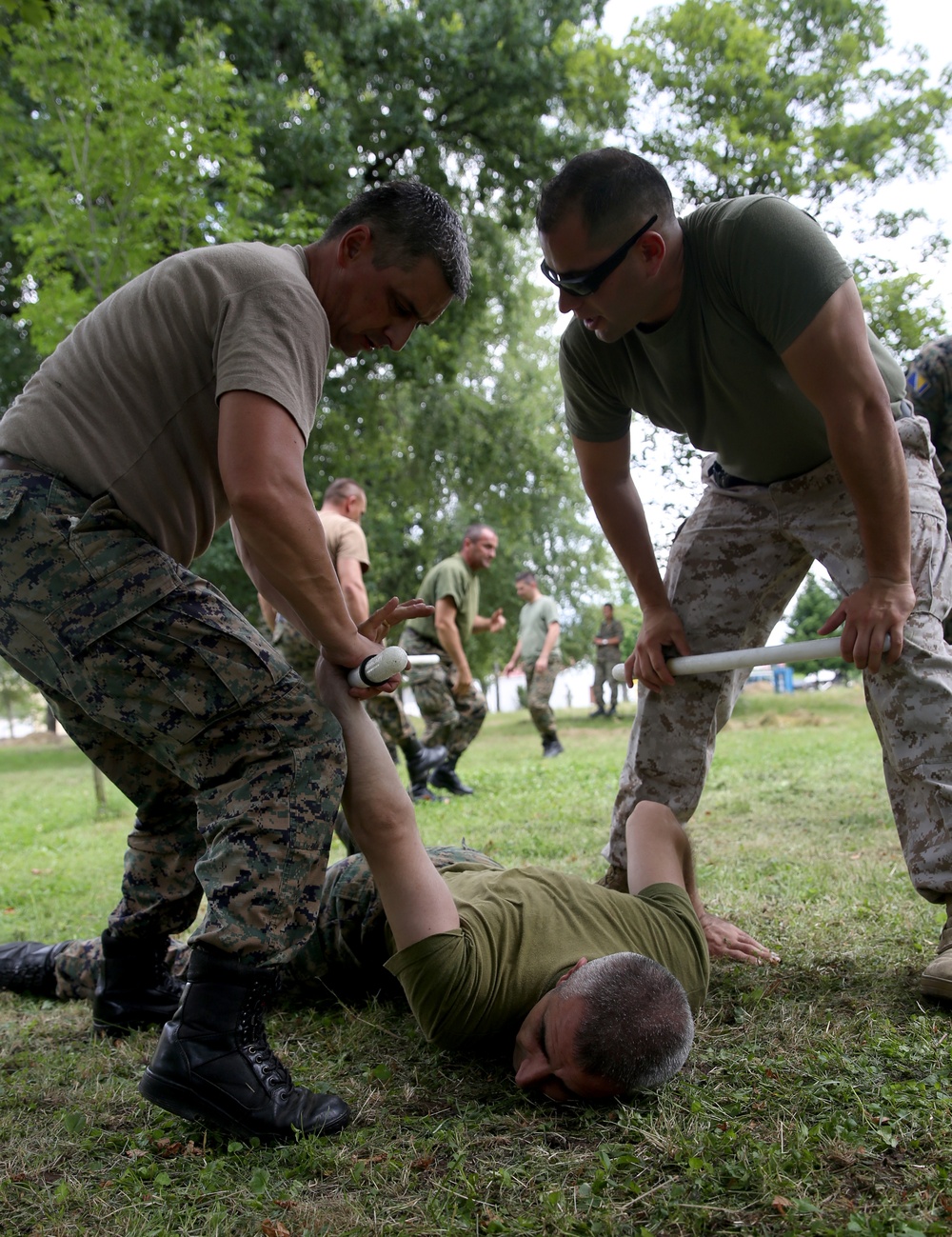U.S. Marines enhance Non-Lethal Systems with Bosnian Forces