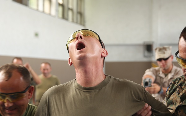 U.S. Marines enhance Non-Lethal Systems with Bosnian Forces
