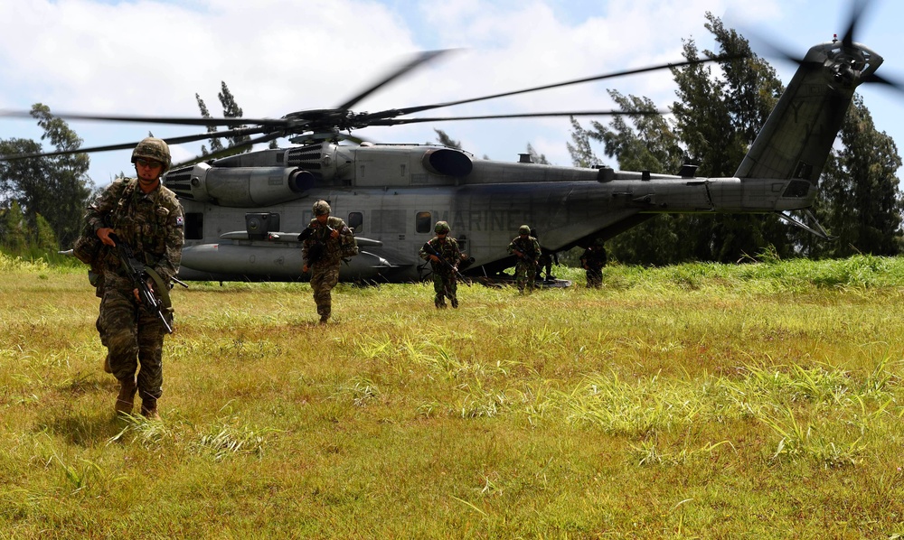 Non-combatant evacuation operation training during RIMPAC 2014
